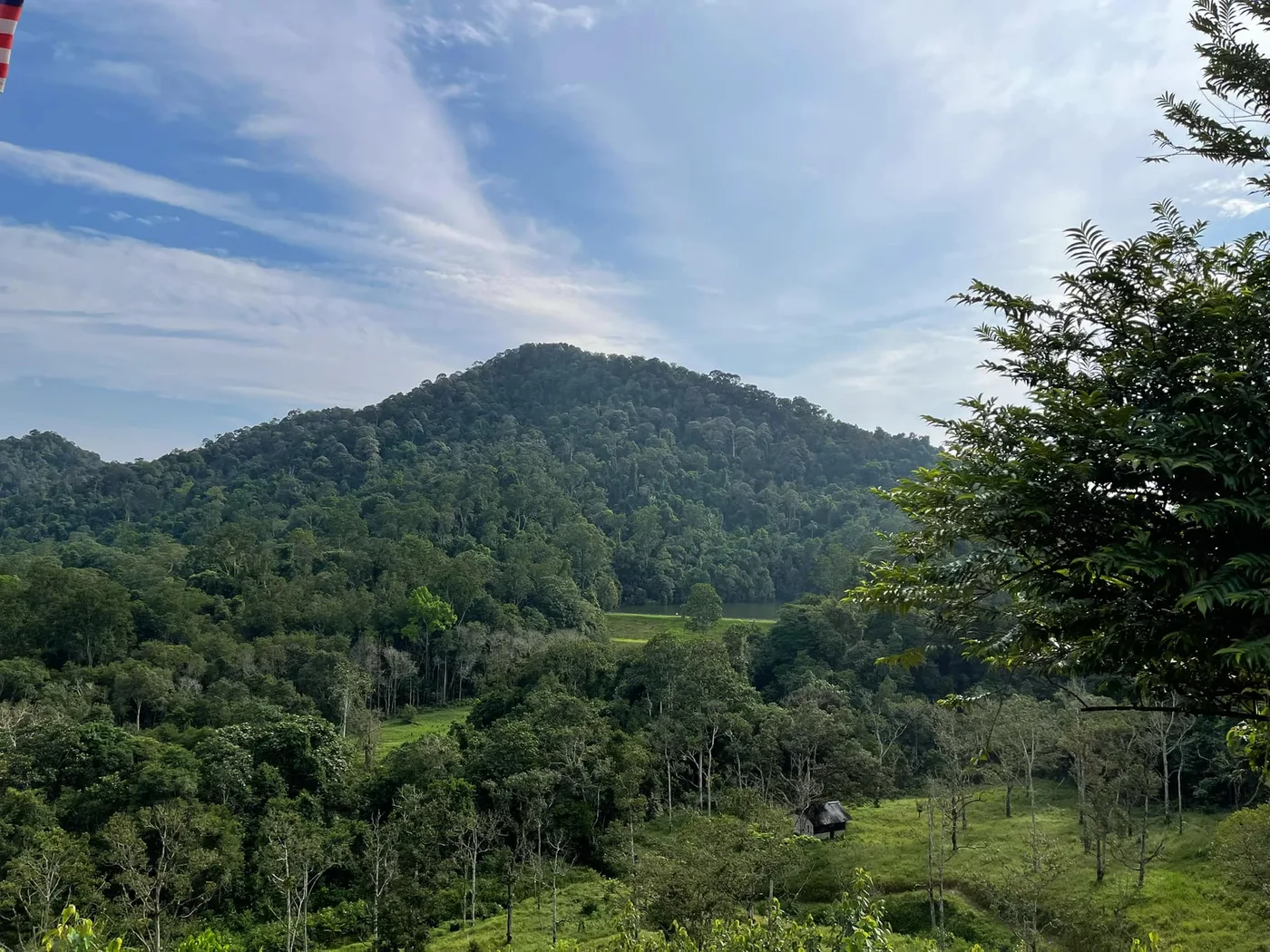 Ten Toes Camp — foto sebenar 2