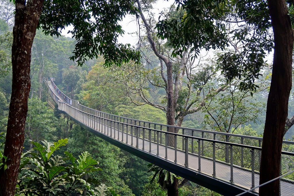 Gambar The Habitat Penang Hill