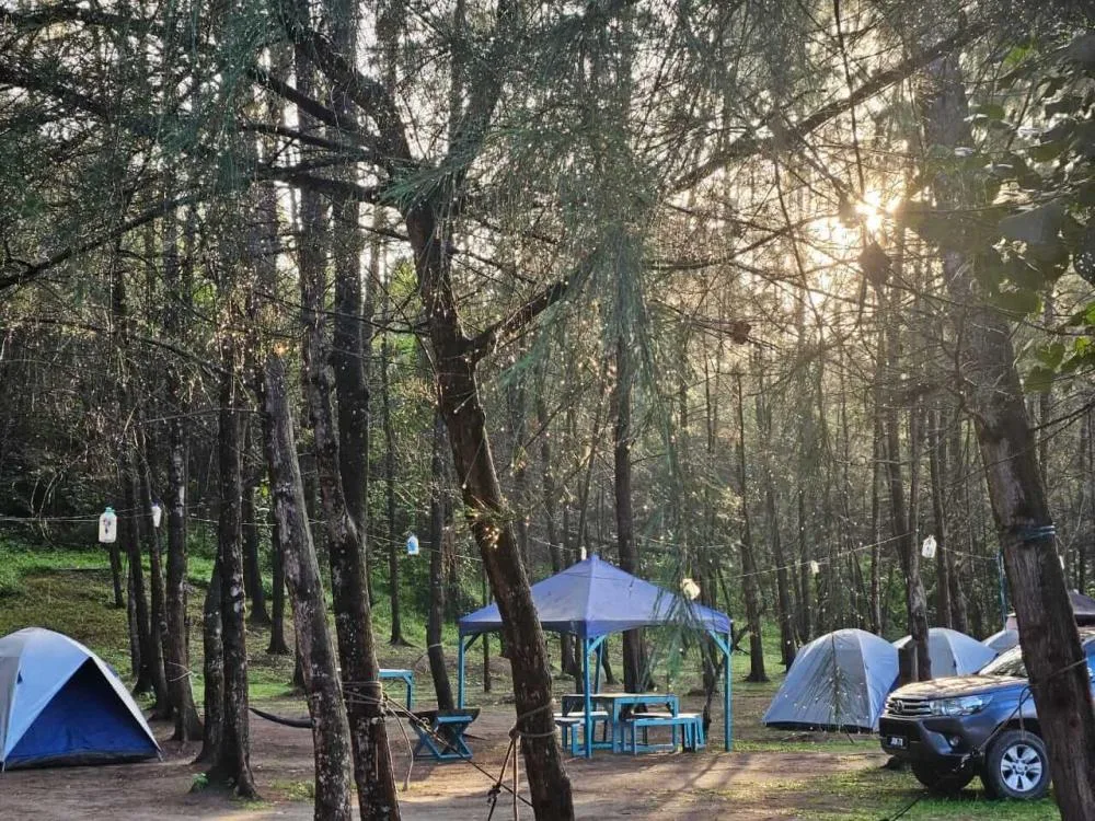 Tiger Base Camp — foto sebenar 2