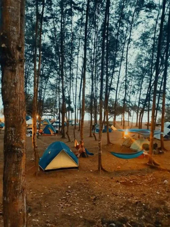 Tiger Base Camp — foto sebenar 4