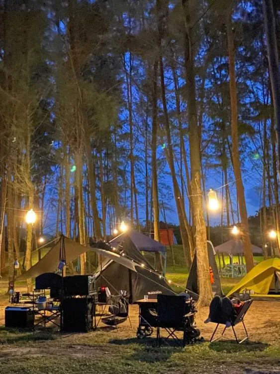 Tiger Base Camp — foto sebenar 5