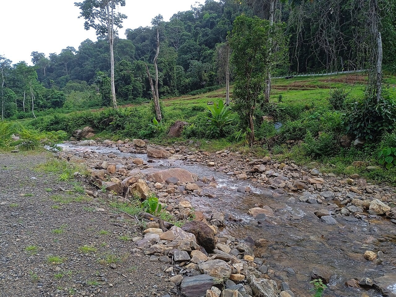 Gambar 3 Titi Hayun Eco-Forest Park