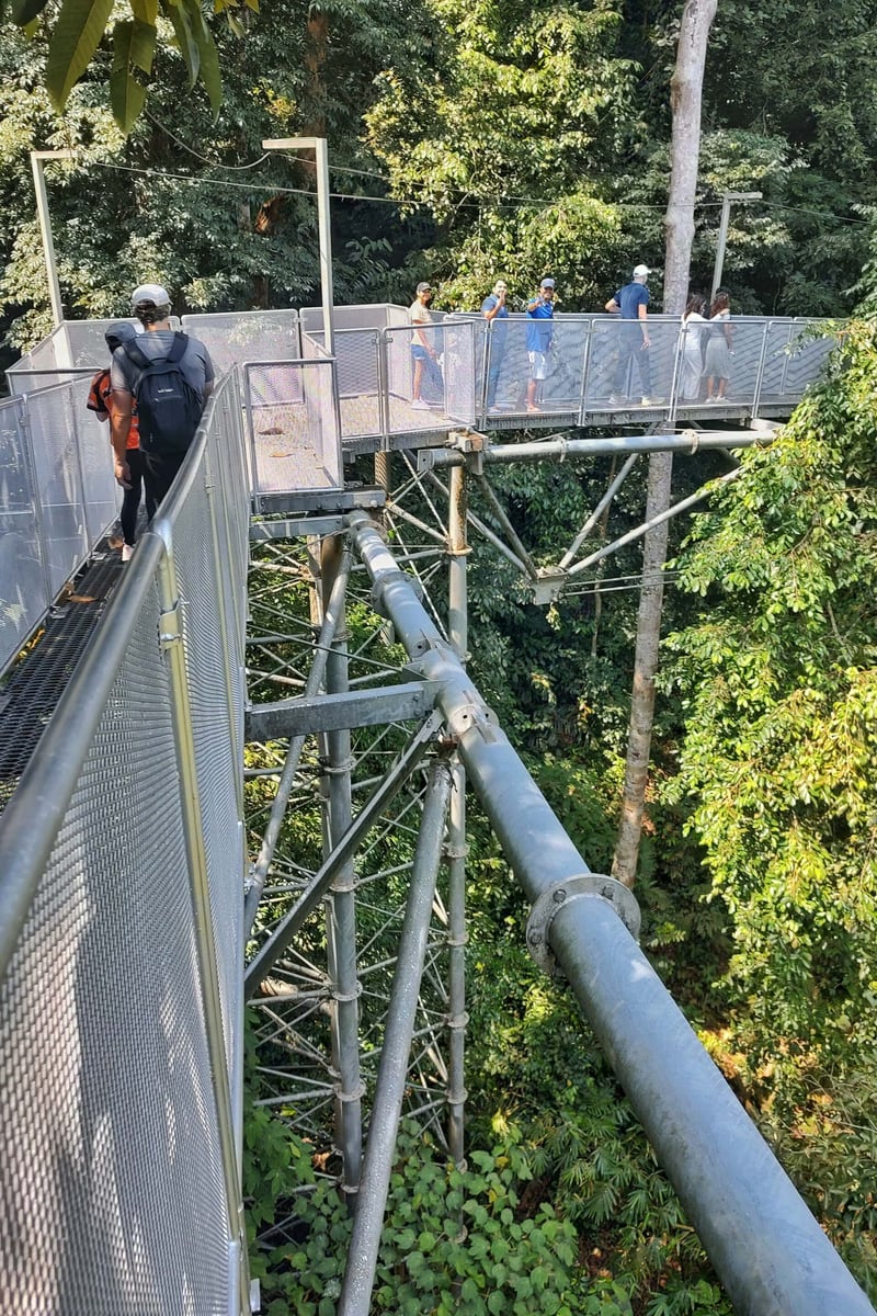 Gambar Tree Top Walk Sungai Sedim