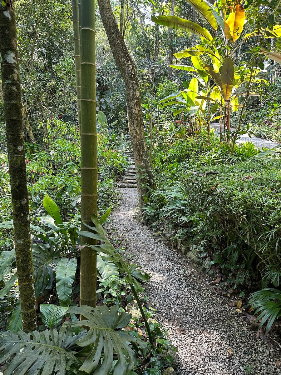 Gambar Tropical Spice Garden