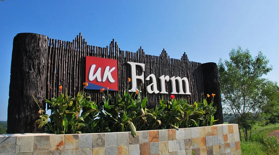 UK Farm Agro Resort — foto sebenar 2