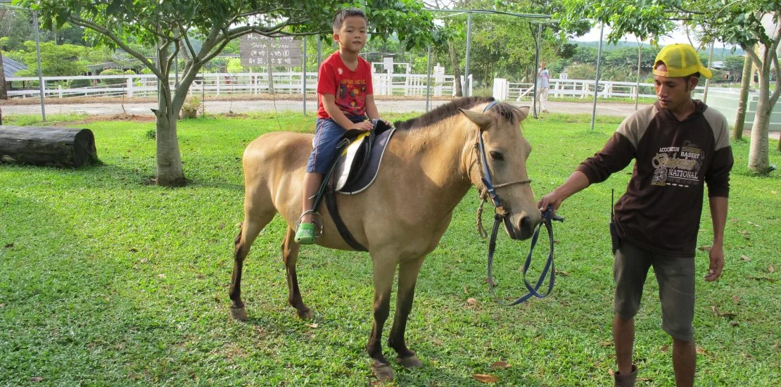 UK Farm Agro Resort — foto sebenar 3
