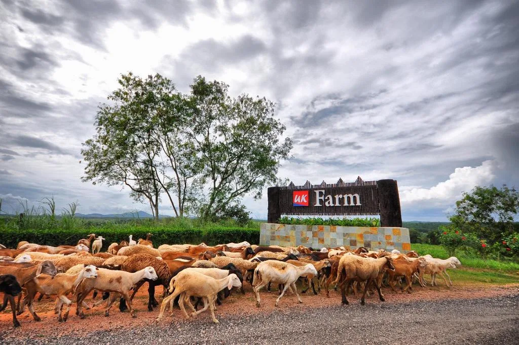 UK Farm Agro Resort — foto sebenar 6