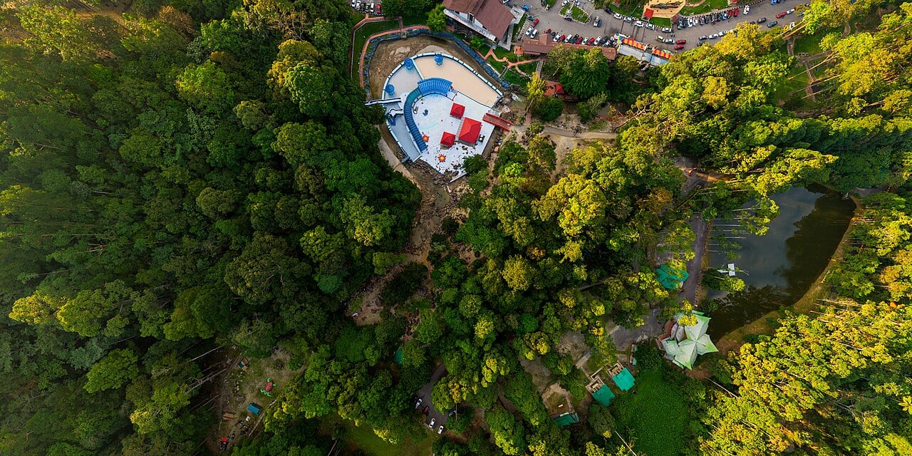 Gambar Ulu Bendul Recreational Forest
