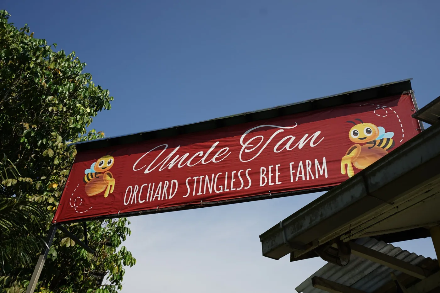Uncle Tan Bee Farm — foto sebenar 6